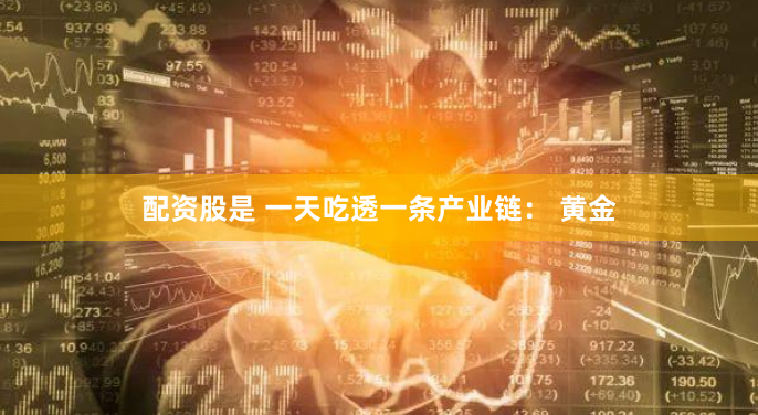 金色配资门户网