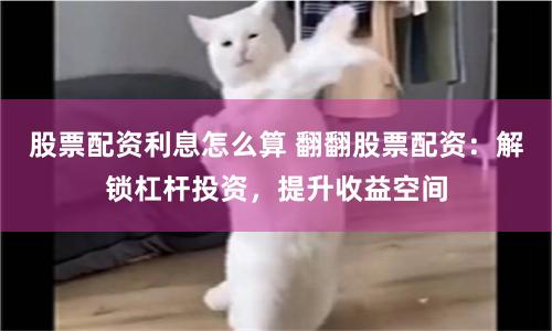 创达赢配资
